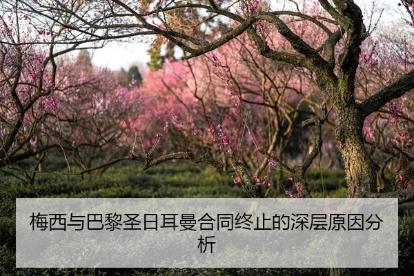 梅西与巴黎圣日耳曼合同终止的深层原因分析